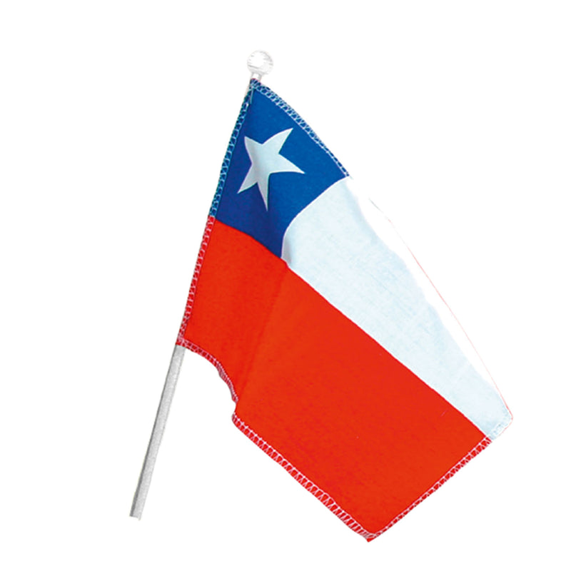 Bandera Decorativa Genero Con  Varilla Plastica 16X24 Cms Big Party