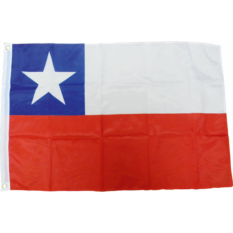 Bandera Decorativa Dieciochera Genero 60X90 Cm Big Party