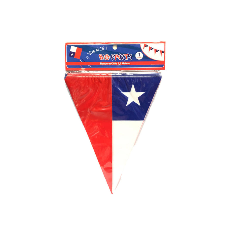 Banderin Decorativo Dieciochero Plastico 22X29 Cm Big Party