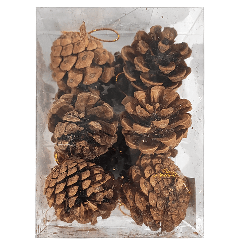 Set 12 Pinos 4,5 Cm  Big Party