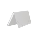 Carpeta Con Fuelle 12 Divisiones Rayado Transparente Rhein