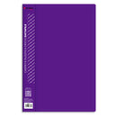 Carpeta Plastica Con Gusano Oficio Datafile Morada Rhein